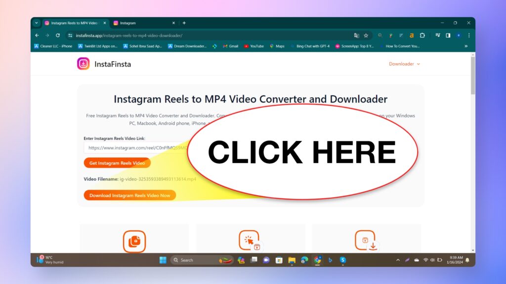 Download the Instagram Reels as MP4
